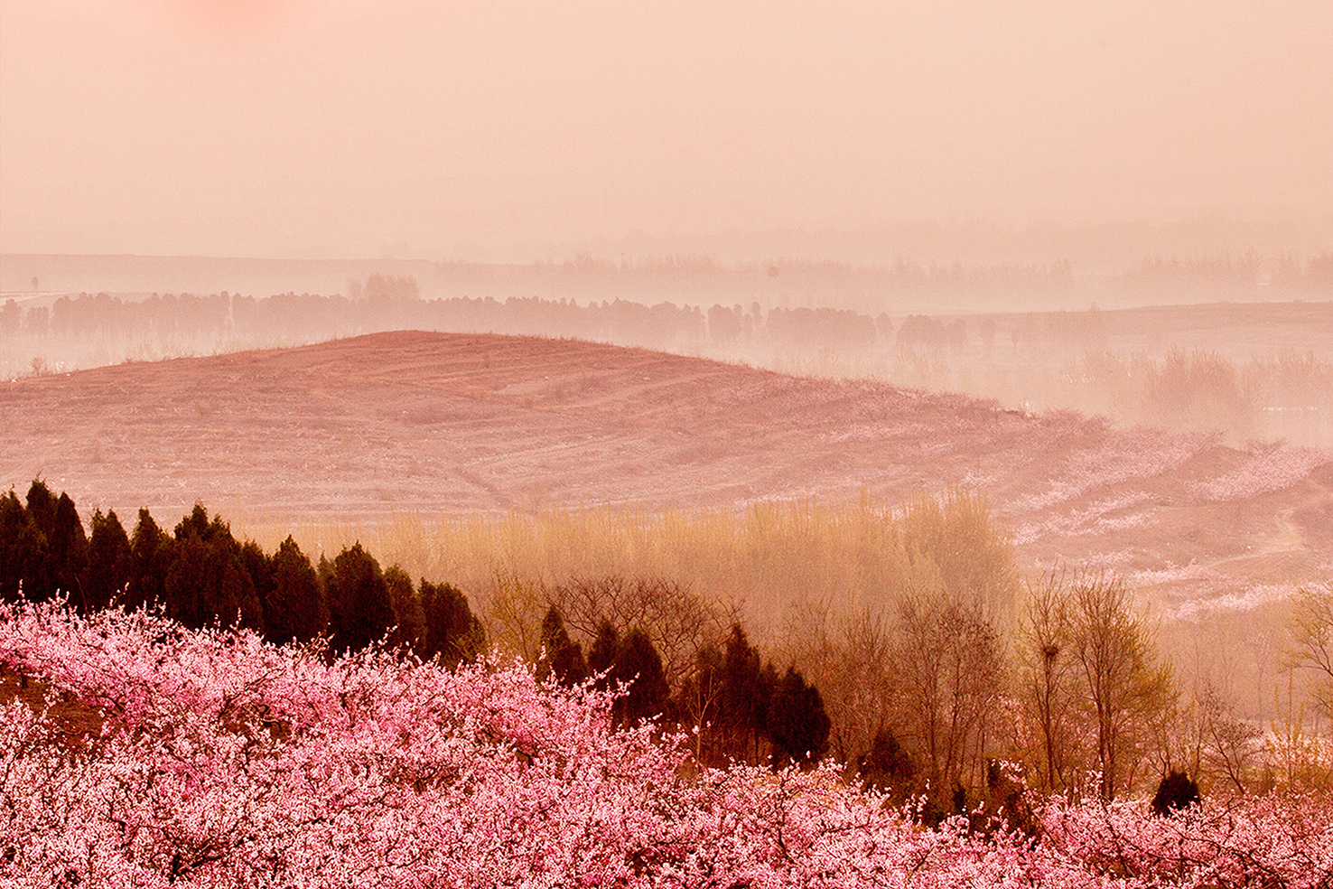 ��ʱ|AG(AsiaGaming)������Ӫ��